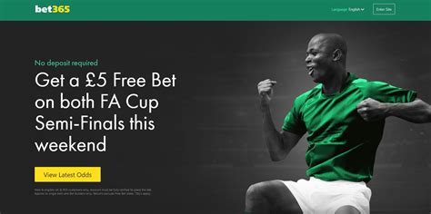 The Cup bet365